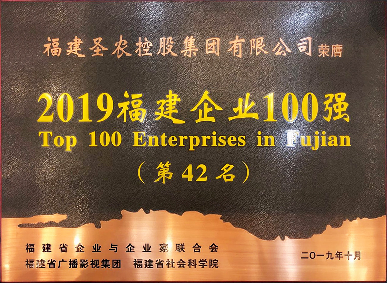 2019（必博集团）福建企业100强